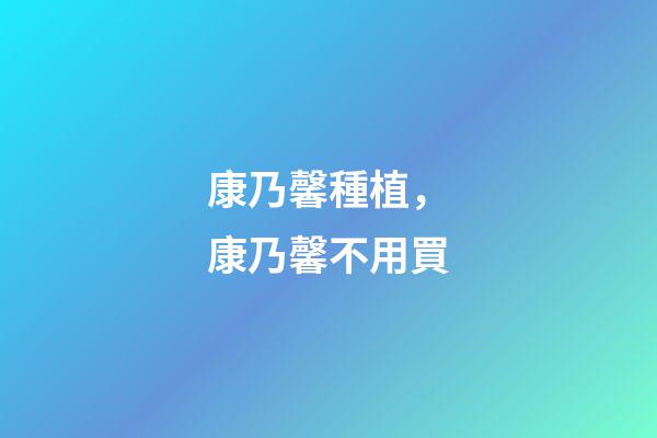 康乃馨種植，康乃馨不用買-第1張-觀點-玄機派