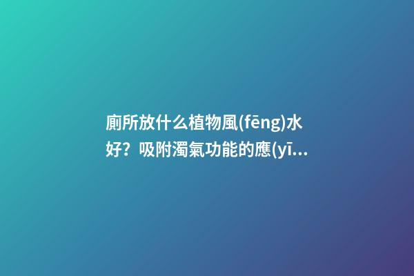 廁所放什么植物風(fēng)水好？吸附濁氣功能的應(yīng)當(dāng)首選