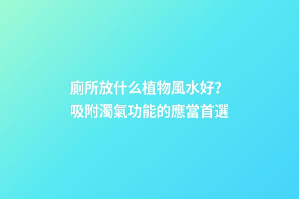 廁所放什么植物風水好？吸附濁氣功能的應當首選