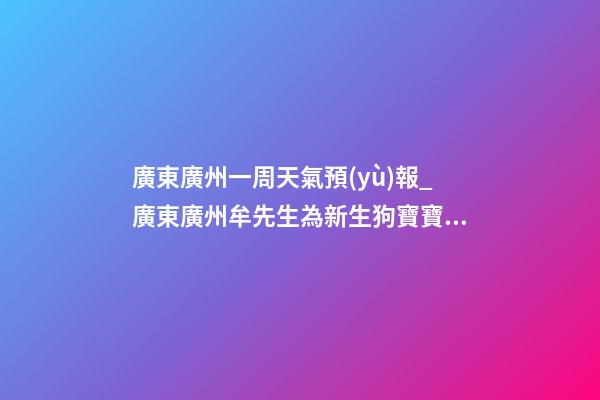 廣東廣州一周天氣預(yù)報_廣東廣州牟先生為新生狗寶寶取名吉祥型套餐-第1張-公司起名-玄機(jī)派