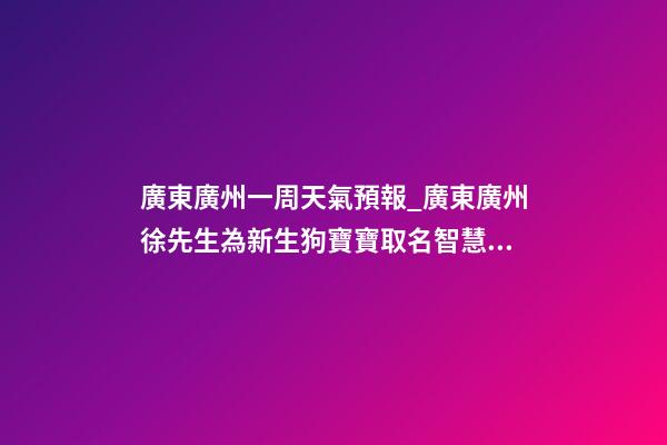 廣東廣州一周天氣預報_廣東廣州徐先生為新生狗寶寶取名智慧型套餐-第1張-公司起名-玄機派