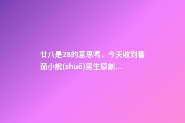 廿八是28的意思嗎，今天收到番茄小說(shuō)男生原創(chuàng)新書排行榜第28名是什么意思