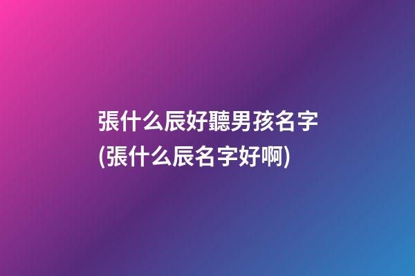 張什么辰好聽男孩名字(張什么辰名字好啊)