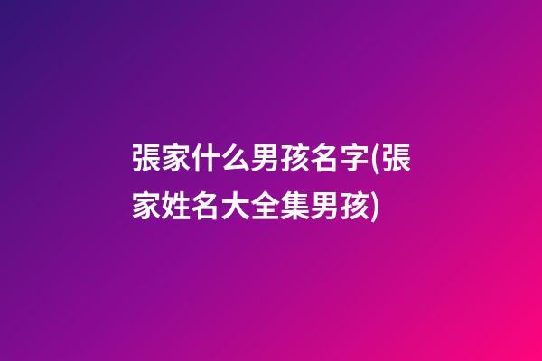 張家什么男孩名字(張家姓名大全集男孩)