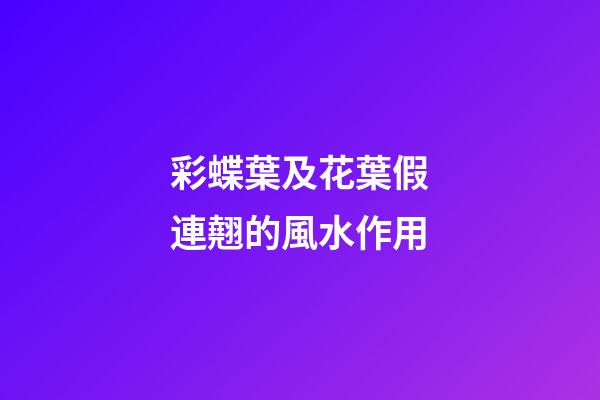 彩蝶葉及花葉假連翹的風水作用