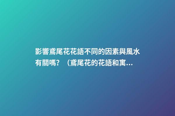 影響鳶尾花花語不同的因素與風水有關嗎？（鳶尾花的花語和寓意是什么）