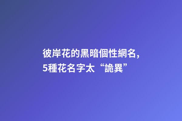彼岸花的黑暗個性網名,5種花名字太“詭異”-第1張-觀點-玄機派
