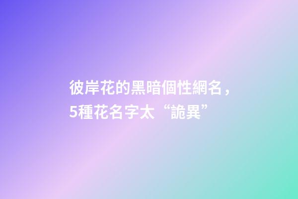 彼岸花的黑暗個性網名，5種花名字太“詭異”-第1張-觀點-玄機派
