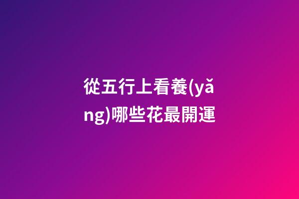 從五行上看養(yǎng)哪些花最開運