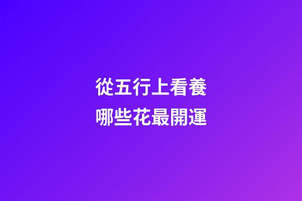 從五行上看養哪些花最開運