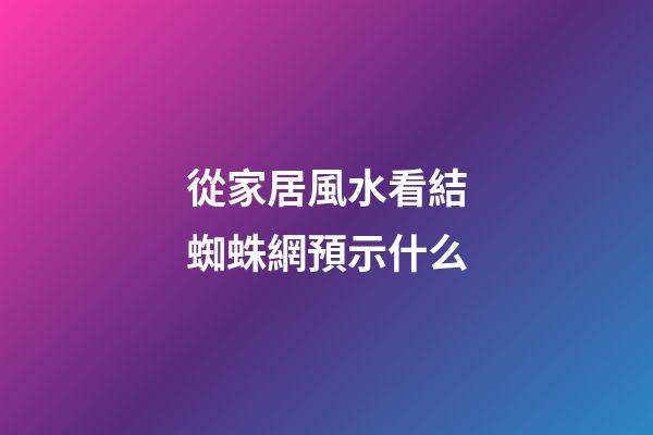 從家居風水看結蜘蛛網預示什么