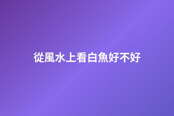 從風水上看白魚好不好
