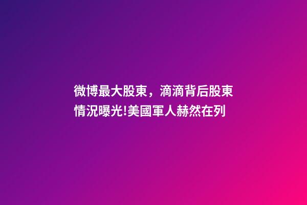 微博最大股東，滴滴背后股東情況曝光!美國軍人赫然在列-第1張-觀點-玄機派