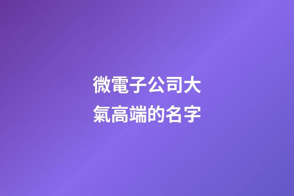 微電子公司大氣高端的名字