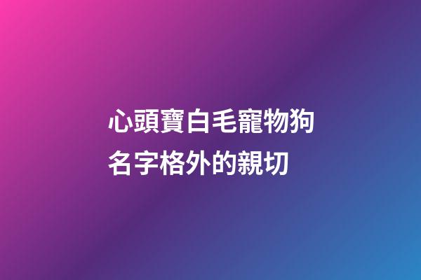 心頭寶白毛寵物狗名字格外的親切