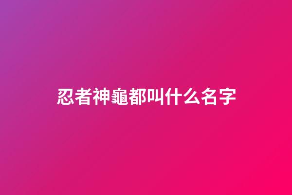 忍者神龜都叫什么名字