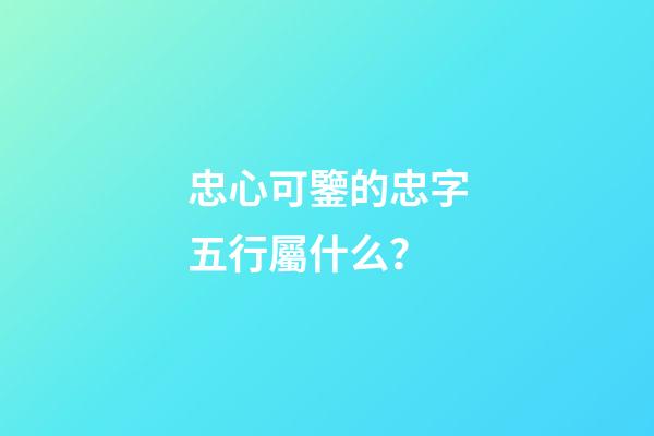 忠心可鑒的忠字五行屬什么？