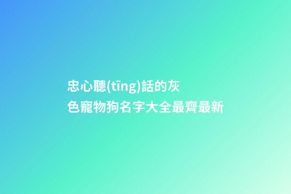 忠心聽(tīng)話的灰色寵物狗名字大全最齊最新