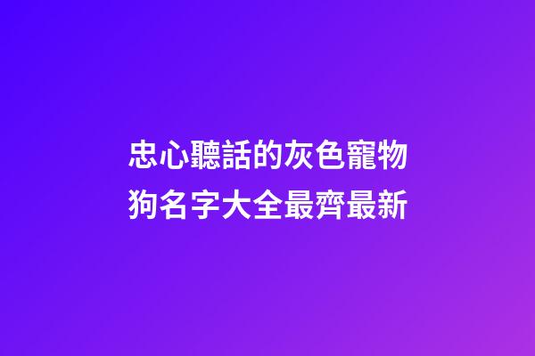 忠心聽話的灰色寵物狗名字大全最齊最新