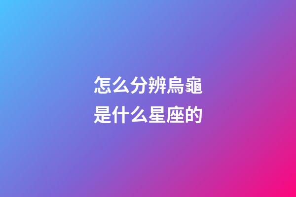 怎么分辨烏龜是什么星座的