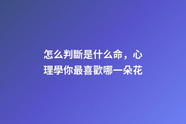 怎么判斷是什么命，心理學你最喜歡哪一朵花-第1張-觀點-玄機派