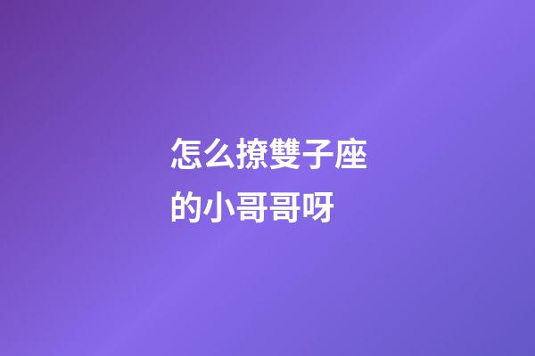 怎么撩雙子座的小哥哥呀-第1張-星座運勢-玄機派