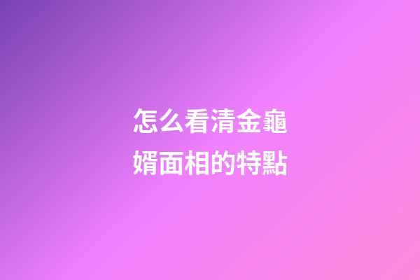 怎么看清金龜婿面相的特點
