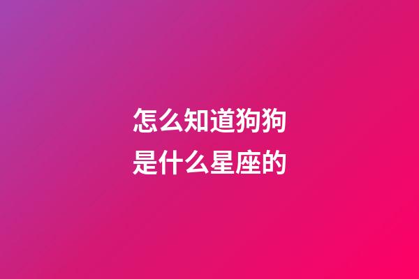 怎么知道狗狗是什么星座的-第1張-星座運勢-玄機派