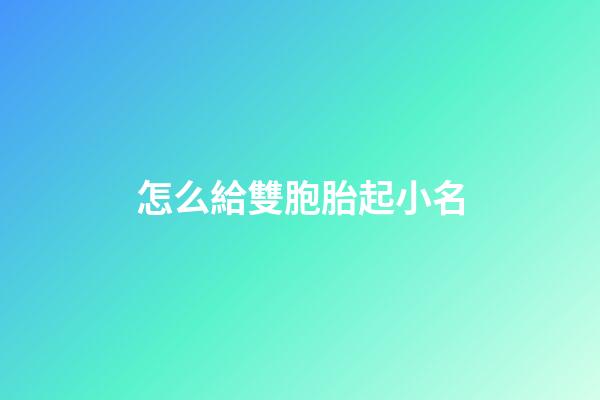 怎么給雙胞胎起小名(怎么給雙胞胎起名字)-第1張-寶寶起名-玄機派