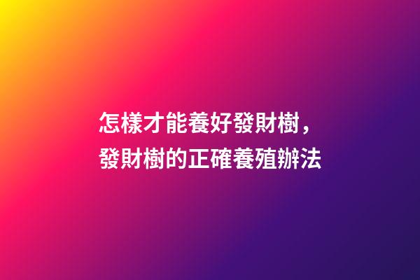 怎樣才能養好發財樹，發財樹的正確養殖辦法-第1張-觀點-玄機派