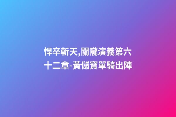 悍卒斬天,關隴演義第六十二章-黃儲寶單騎出陣-第1張-觀點-玄機派
