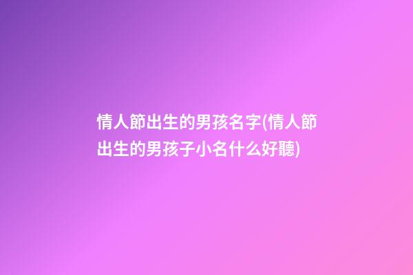 情人節出生的男孩名字(情人節出生的男孩子小名什么好聽)