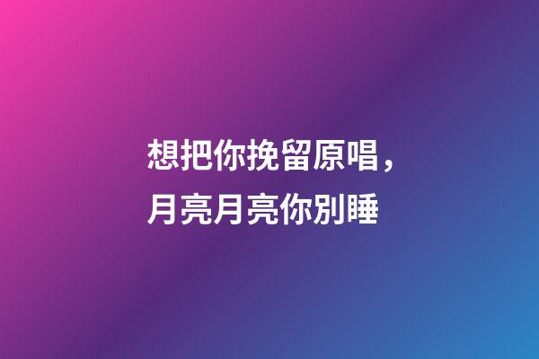 想把你挽留原唱，月亮月亮你別睡-第1張-觀點-玄機派