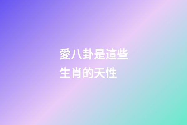 愛八卦是這些生肖的天性