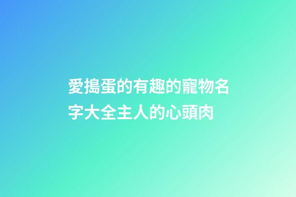 愛搗蛋的有趣的寵物名字大全主人的心頭肉