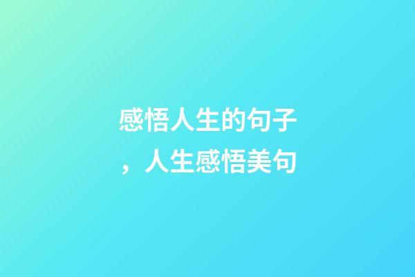 感悟人生的句子，人生感悟美句