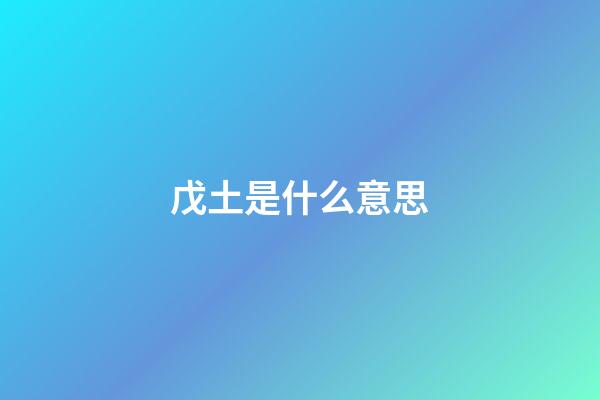 戊土是什么意思