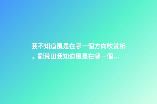 我不知道風是在哪一個方向吹賞析，劉荒田我知道風是在哪一個方向吹
