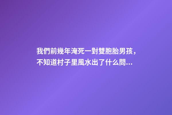我們前幾年淹死一對雙胞胎男孩，不知道村子里風水出了什么問題導
