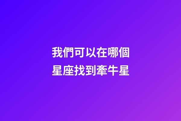 我們可以在哪個星座找到牽牛星
