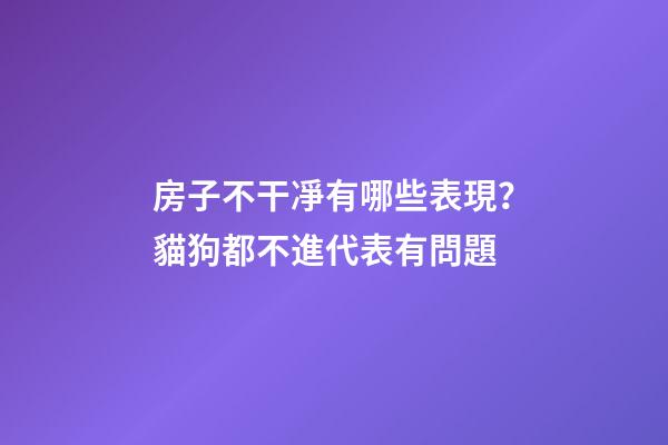 房子不干凈有哪些表現？貓狗都不進代表有問題
