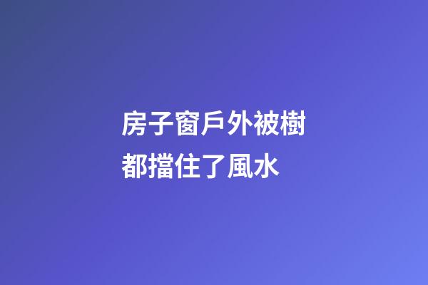 房子窗戶外被樹都擋住了風水