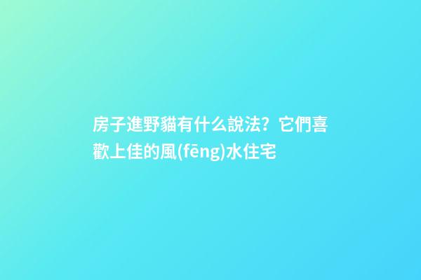 房子進野貓有什么說法？它們喜歡上佳的風(fēng)水住宅