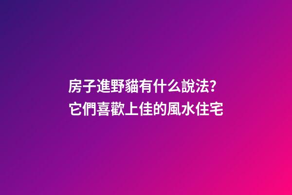 房子進野貓有什么說法？它們喜歡上佳的風水住宅