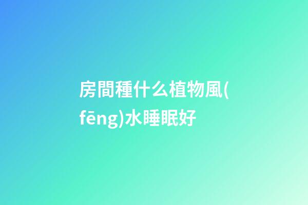 房間種什么植物風(fēng)水睡眠好