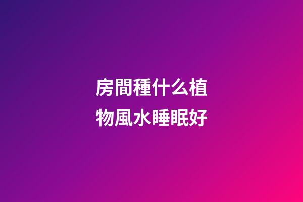 房間種什么植物風水睡眠好