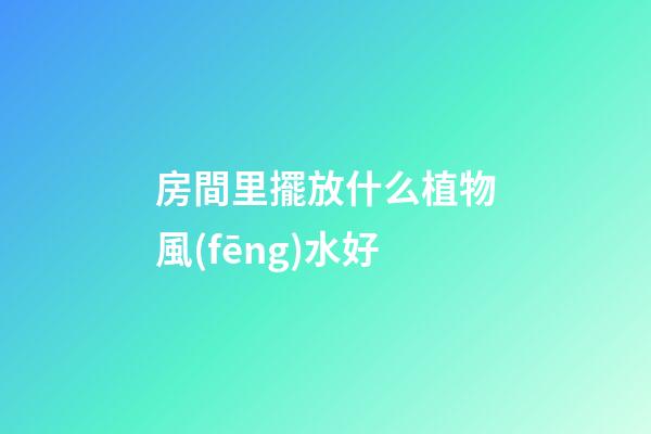 房間里擺放什么植物風(fēng)水好