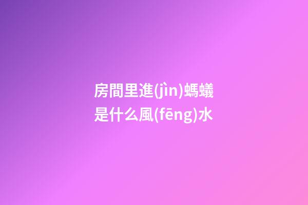 房間里進(jìn)螞蟻是什么風(fēng)水
