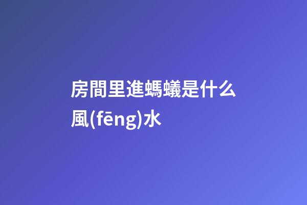 房間里進螞蟻是什么風(fēng)水