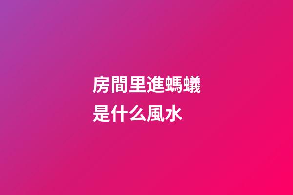 房間里進螞蟻是什么風水